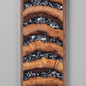 Variations in Apple 106