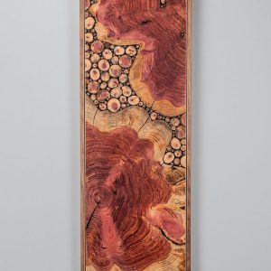 Variations in Cedar 104