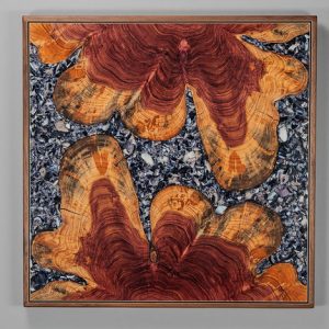 Variations in Cedar 110